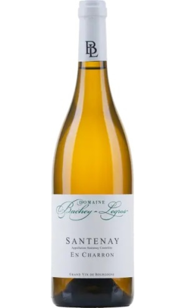 Dom Bachey-Legros Santenay En Charron 22