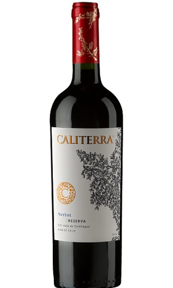 Caliterra Merlot Reserva 2024