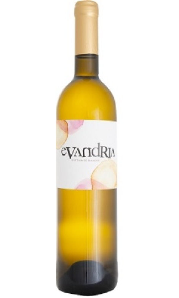 Evandria Sinfonia de Blancos 2022