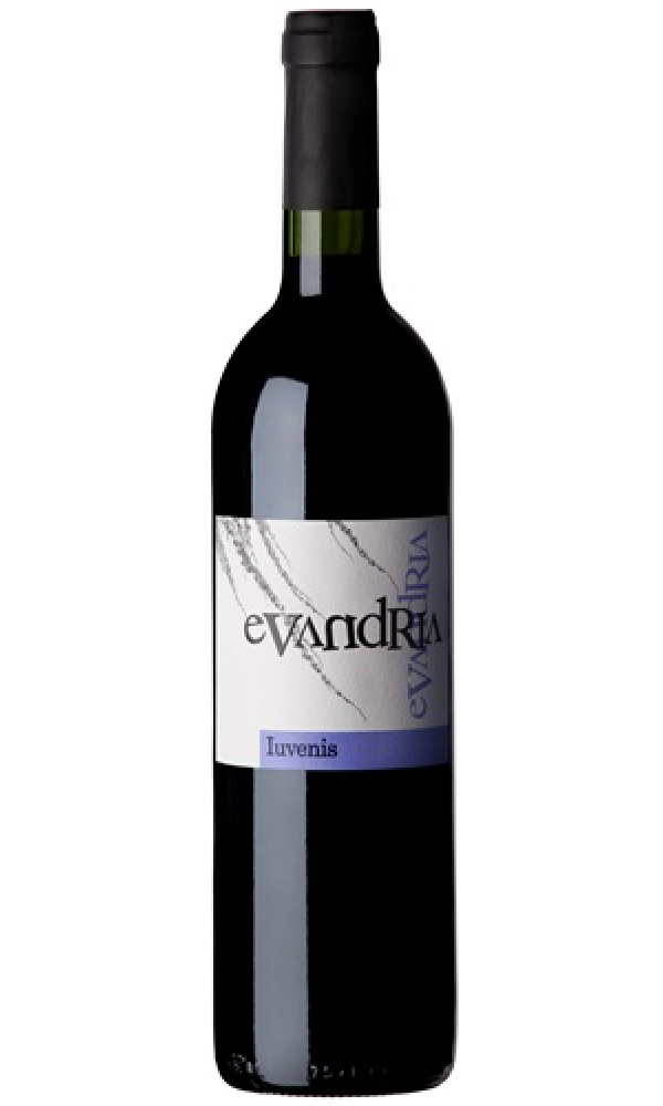 Evandria Iuvenis 2020