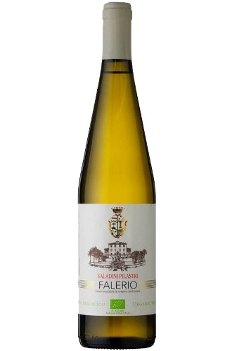 Saladini Pilastri Falerio