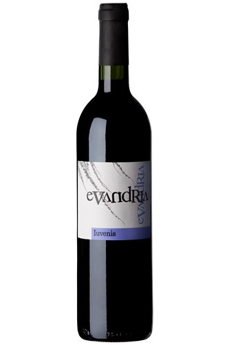 Evandria Iuvenis 2020